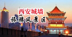 女神生吞大鸡巴*中国陕西-西安城墙旅游风景区